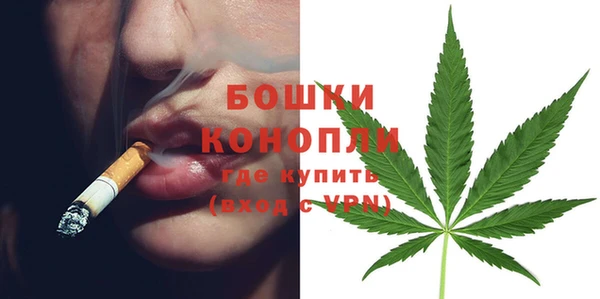 стаф Богородск