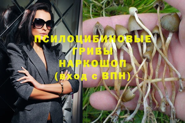 меф Богданович