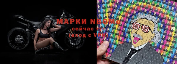 стаф Богородск